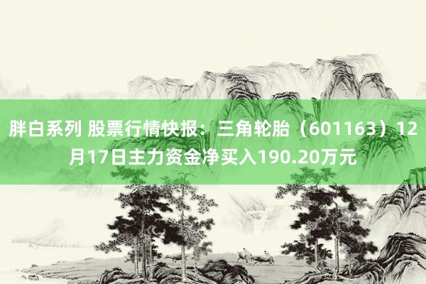 胖白系列 股票行情快报：三角轮胎（601163）12月17日主力资金净买入190.20万元