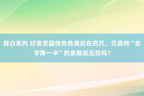 胖白系列 好意思国债务危境近在咫尺，贝森特“赤字降一半”的豪赌能见效吗？