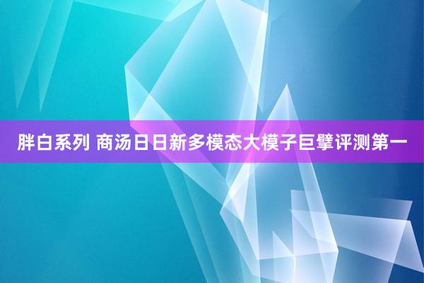 胖白系列 商汤日日新多模态大模子巨擘评测第一