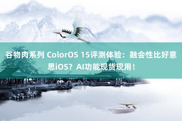 谷物肉系列 ColorOS 15评测体验：融会性比好意思iOS？AI功能现货现用！