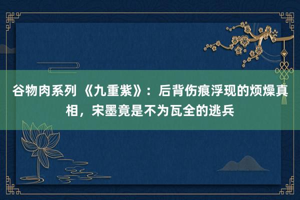 谷物肉系列 《九重紫》：后背伤痕浮现的烦燥真相，宋墨竟是不为瓦全的逃兵