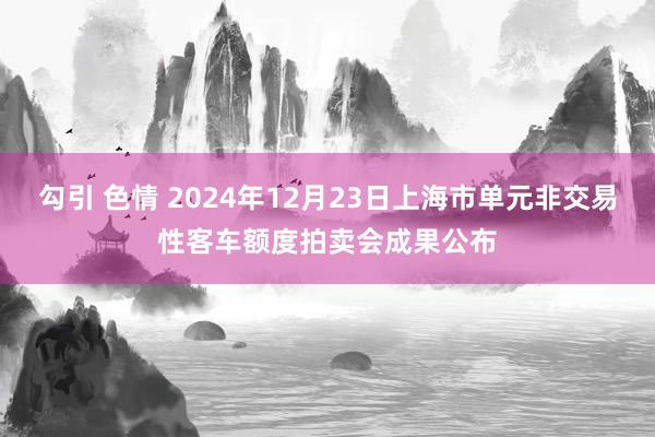 勾引 色情 2024年12月23日上海市单元非交易性客车额度拍卖会成果公布