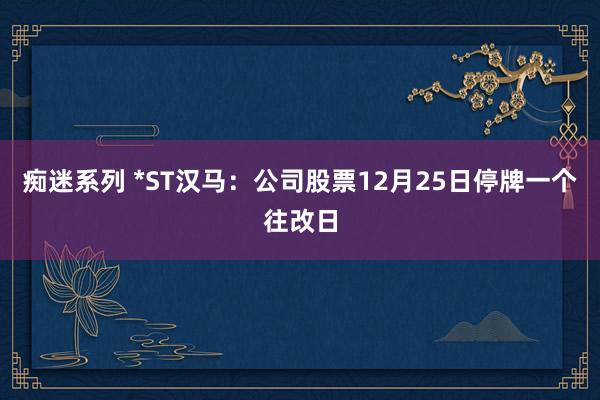 痴迷系列 *ST汉马：公司股票12月25日停牌一个往改日