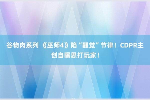 谷物肉系列 《巫师4》陷“醒觉”节律！CDPR主创自曝思打玩家！