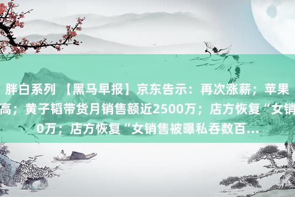 胖白系列 【黑马早报】京东告示：再次涨薪；苹果税中国抽成各人最高；黄子韬带货月销售额近2500万；店方恢复“女销售被曝私吞数百...