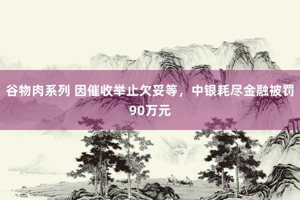 谷物肉系列 因催收举止欠妥等，中银耗尽金融被罚90万元