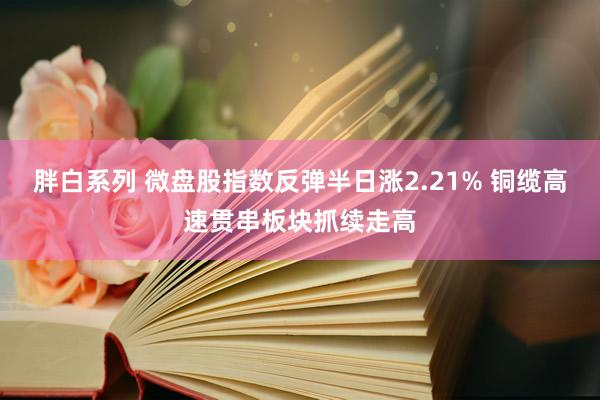 胖白系列 微盘股指数反弹半日涨2.21% 铜缆高速贯串板块抓续走高