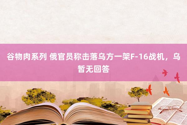 谷物肉系列 俄官员称击落乌方一架F-16战机，乌暂无回答