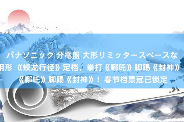 パナソニック 分電盤 大形リミッタースペースなし 露出・半埋込両用形 《蛟龙行径》定档，拳打《哪吒》脚踢《封神》！春节档票冠已锁定