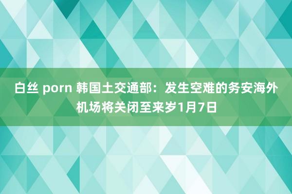 白丝 porn 韩国土交通部：发生空难的务安海外机场将关闭至来岁1月7日