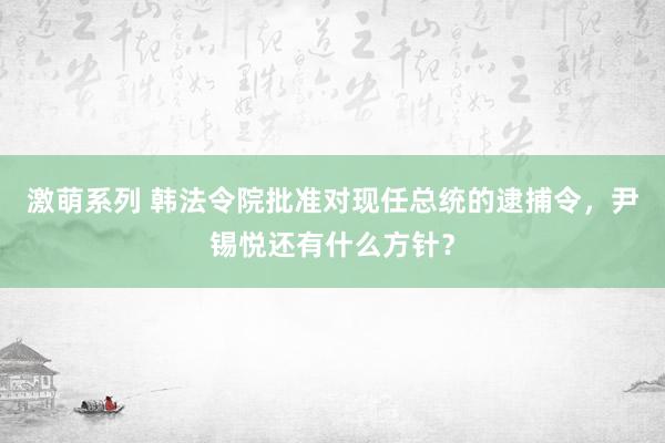 激萌系列 韩法令院批准对现任总统的逮捕令，尹锡悦还有什么方针？