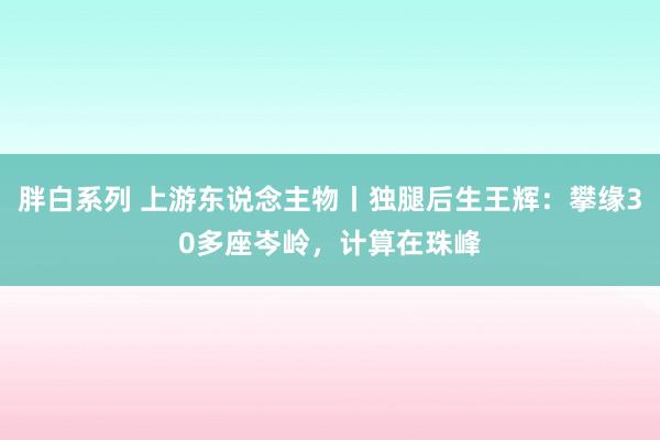 胖白系列 上游东说念主物丨独腿后生王辉：攀缘30多座岑岭，计算在珠峰