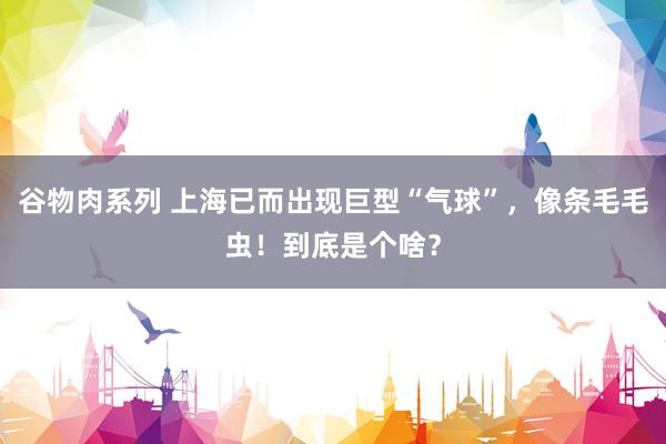 谷物肉系列 上海已而出现巨型“气球”，像条毛毛虫！到底是个啥？