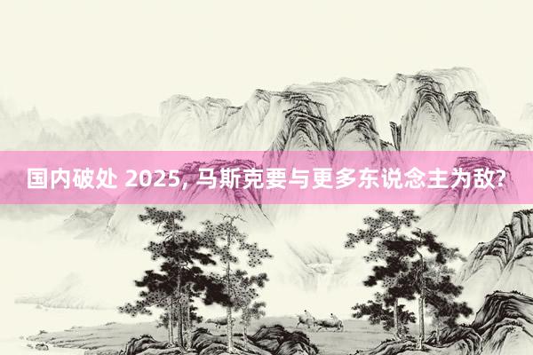 国内破处 2025， 马斯克要与更多东说念主为敌?