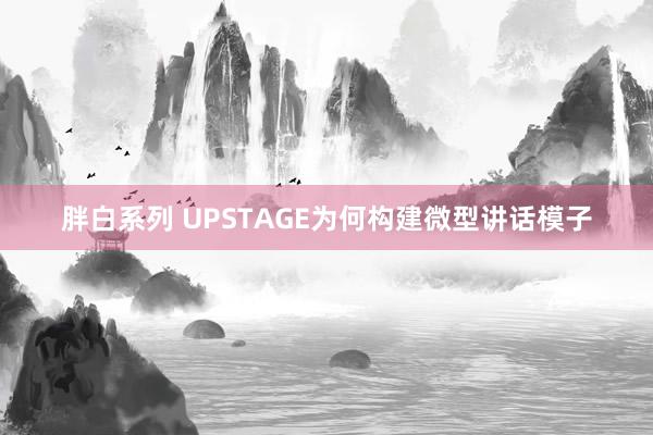 胖白系列 UPSTAGE为何构建微型讲话模子