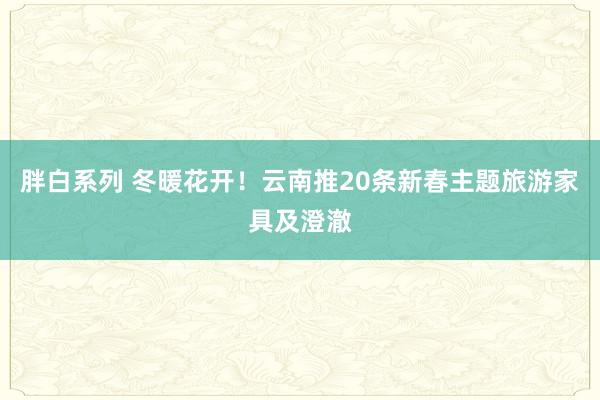 胖白系列 冬暖花开！云南推20条新春主题旅游家具及澄澈