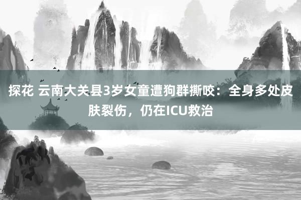 探花 云南大关县3岁女童遭狗群撕咬：全身多处皮肤裂伤，仍在ICU救治