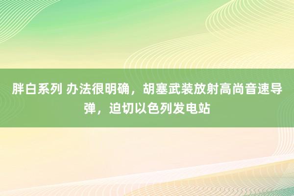 胖白系列 办法很明确，胡塞武装放射高尚音速导弹，迫切以色列发电站