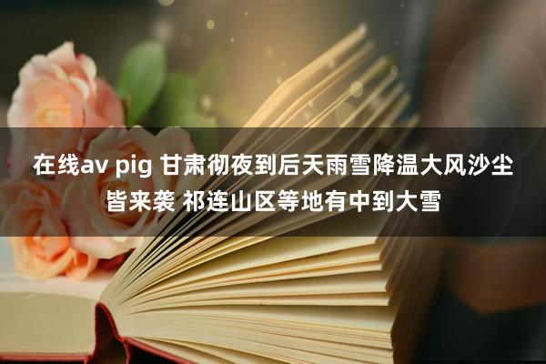 在线av pig 甘肃彻夜到后天雨雪降温大风沙尘皆来袭 祁连山区等地有中到大雪