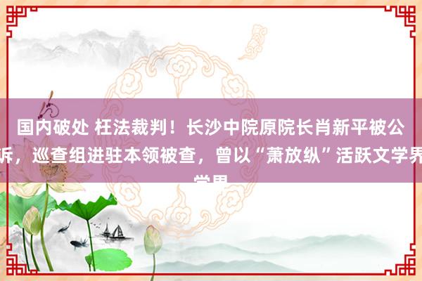 国内破处 枉法裁判！长沙中院原院长肖新平被公诉，巡查组进驻本领被查，曾以“萧放纵”活跃文学界