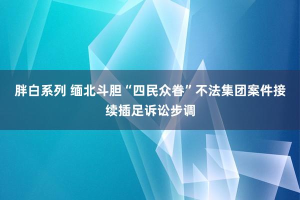 胖白系列 缅北斗胆“四民众眷”不法集团案件接续插足诉讼步调