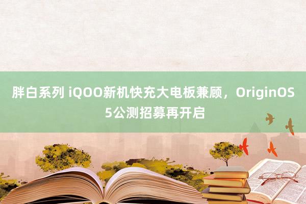 胖白系列 iQOO新机快充大电板兼顾，OriginOS 5公测招募再开启