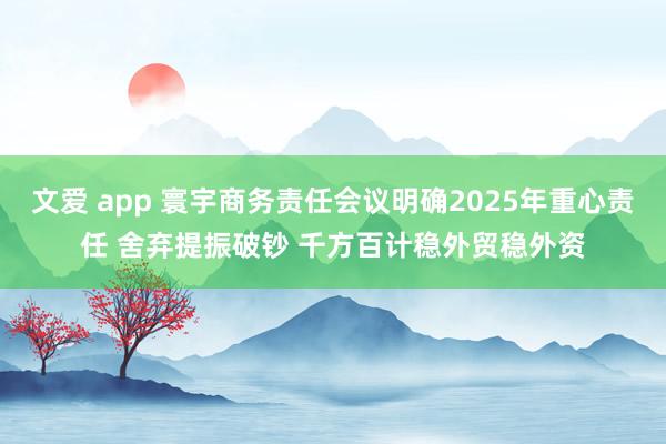 文爱 app 寰宇商务责任会议明确2025年重心责任 舍弃提振破钞 千方百计稳外贸稳外资