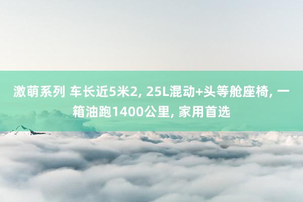 激萌系列 车长近5米2， 25L混动+头等舱座椅， 一箱油跑1400公里， 家用首选