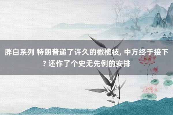 胖白系列 特朗普递了许久的橄榄枝， 中方终于接下? 还作了个史无先例的安排