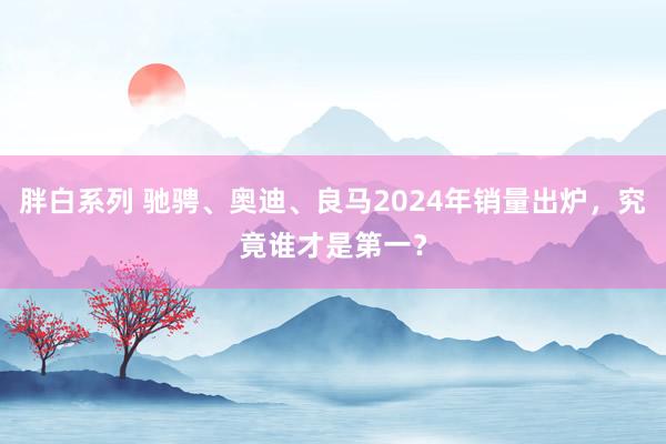 胖白系列 驰骋、奥迪、良马2024年销量出炉，究竟谁才是第一？