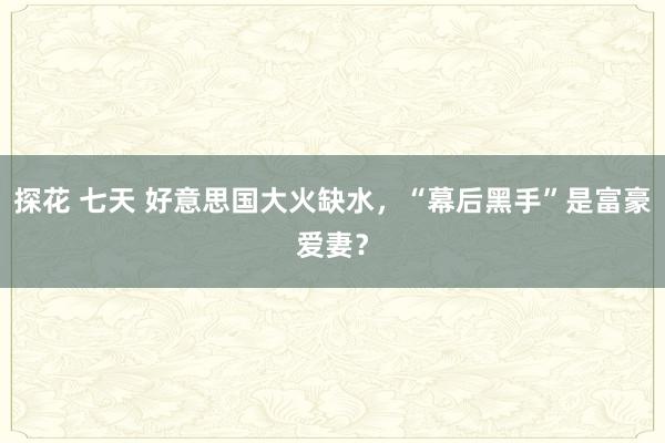 探花 七天 好意思国大火缺水，“幕后黑手”是富豪爱妻？