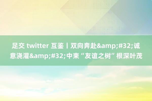 足交 twitter 互鉴丨双向奔赴&#32;诚意浇灌&#32;中柬“友谊之树”根深叶茂
